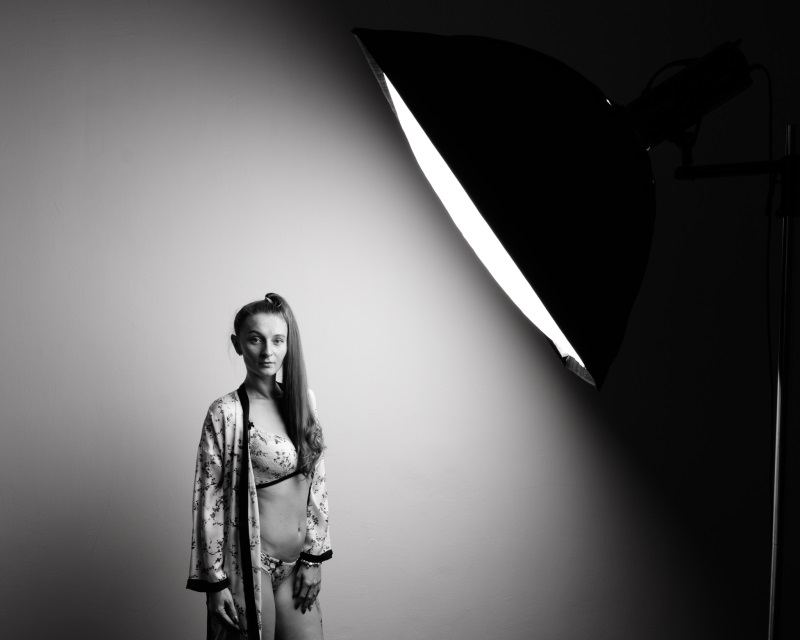 Softbox bez voštinového filtru Softbox bez voštinového filtru