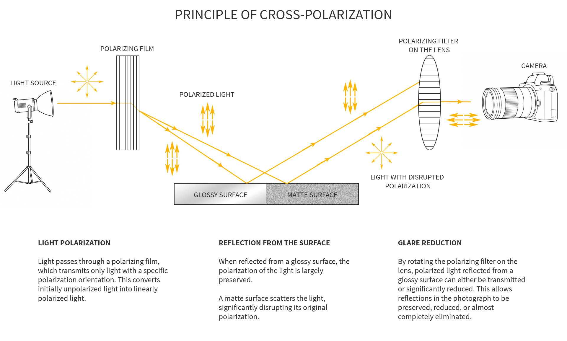 Explanation of the cross-polarization principle