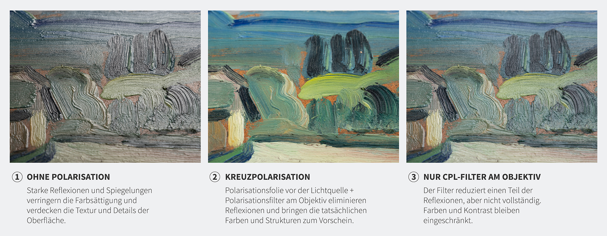 Vergleich der Polarisation