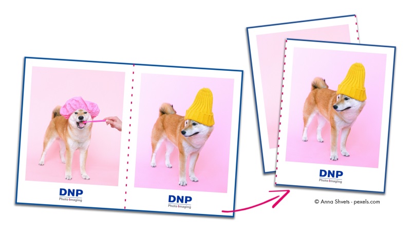 Perforated DNP media with pre-perforated paper roll. Perforated DNP media with pre-perforated paper roll.