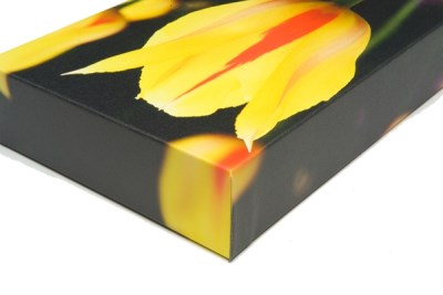 GoFrame 1500 PRO