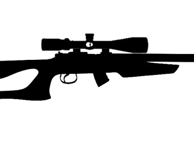 Rimfire Scopes