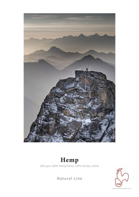 Hemp 290