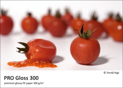 PRO Gloss 300