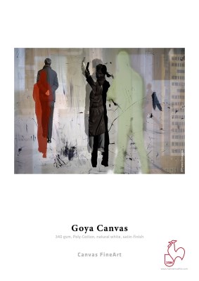 Goya Canvas 340