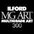 MULTIGRADE ART