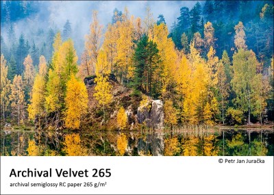 Archival Velvet 265