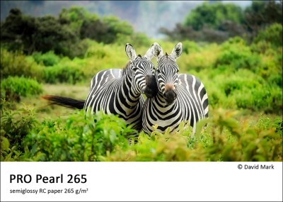 PRO Pearl 265