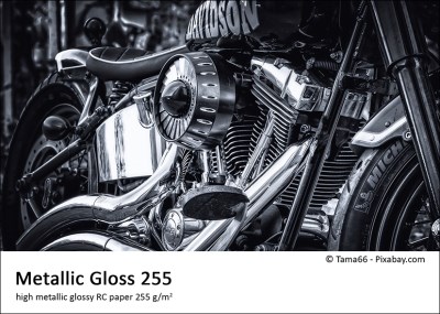 Metallic Gloss 255