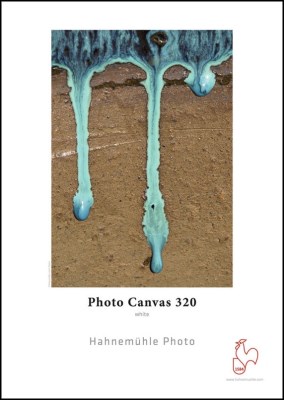 Photo Canvas 320