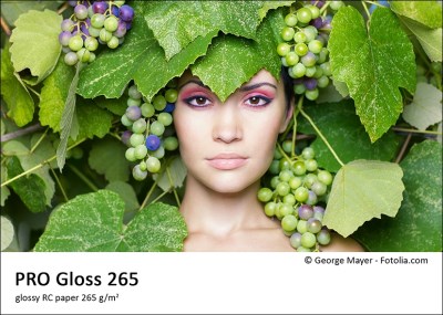 PRO Gloss 265
