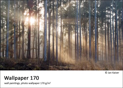 Wallpaper 170