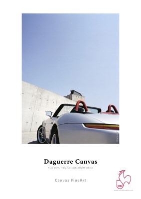 Daguerre Canvas 400