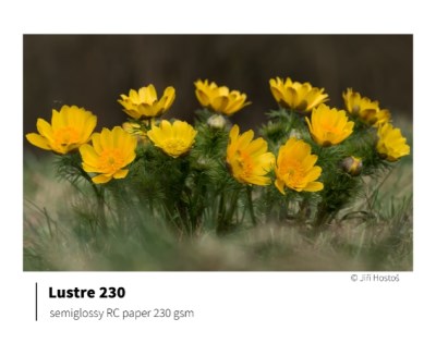 SERIES230 Lustre