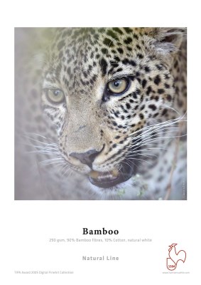 Bamboo 290