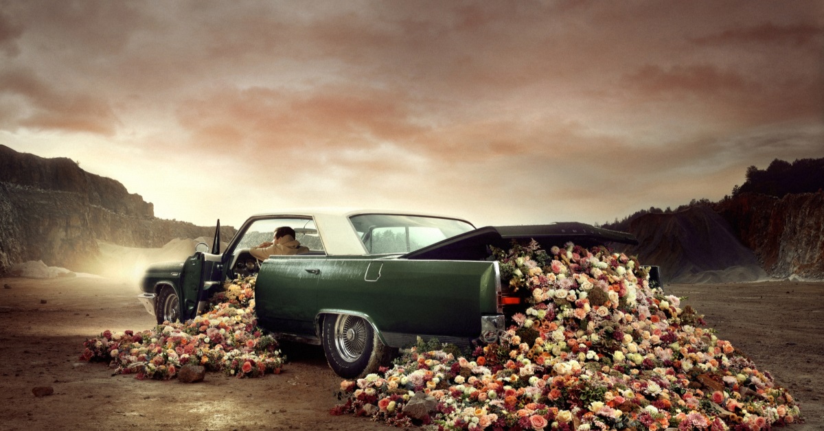 Martin Stranka: I Bloom For You